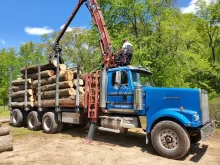 Loading logs